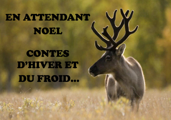 Hiver Le Colibri Conteur